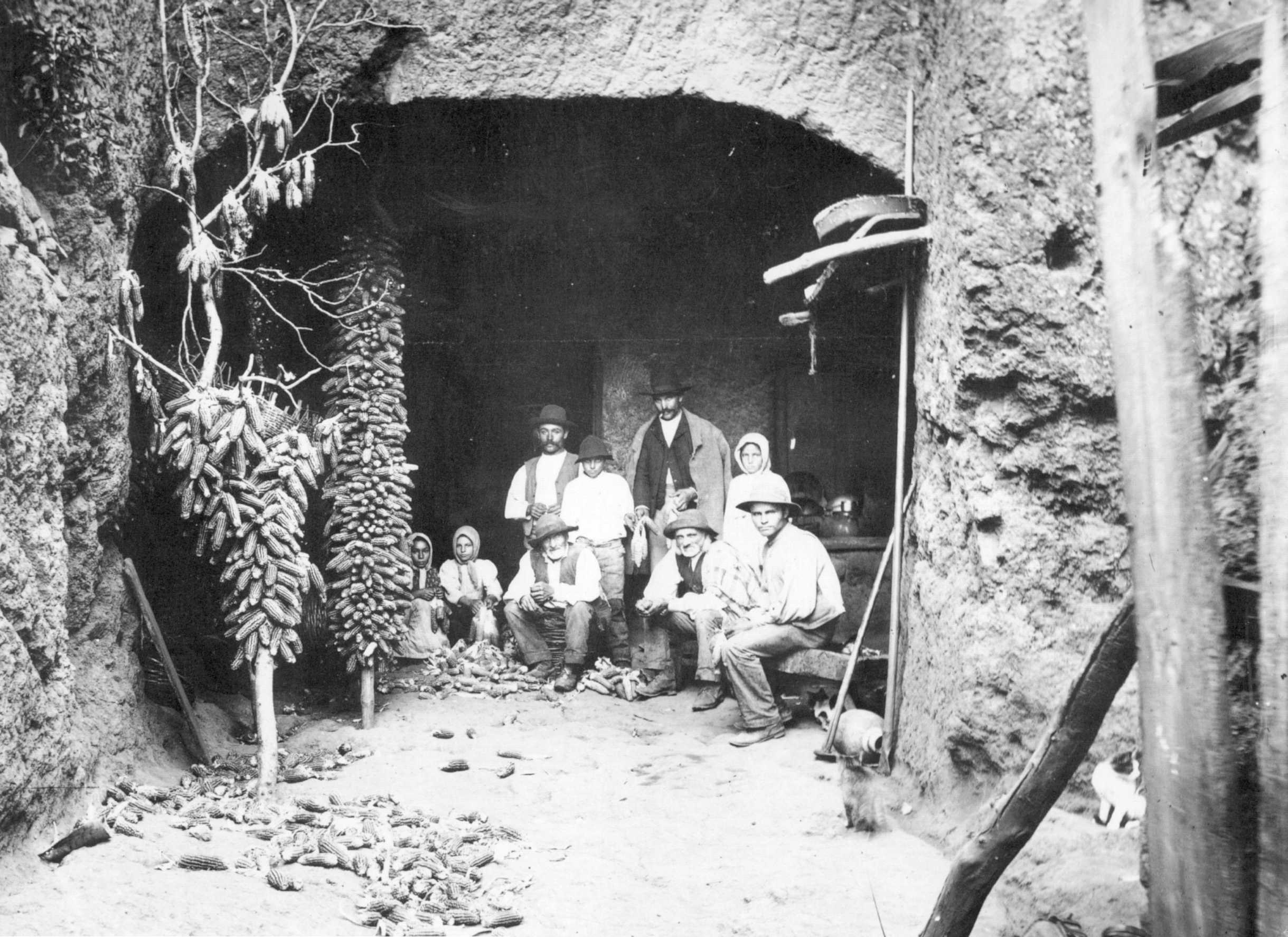 Familia campesina de los altos de Gáldar, desgranando millo.
Escena captada por Teodoro Maisch en 1925.